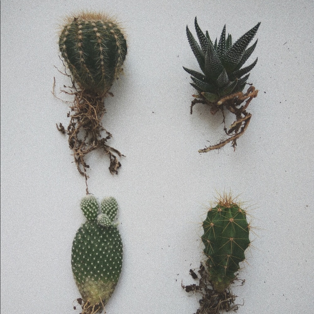 Meet your Posher, Gillian